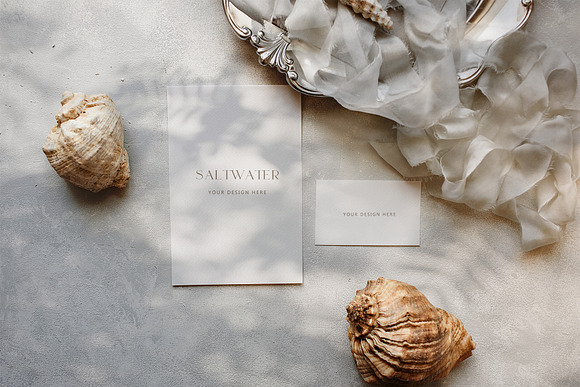Saltwater Luxe Stock Photos in Print Mockups - product preview 5