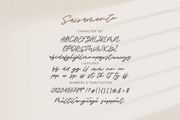 Sacramento // Sale in Script Fonts - product preview 6