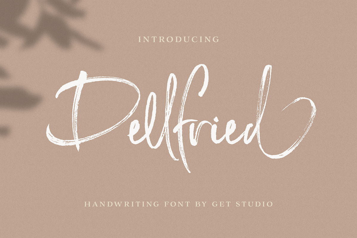 Dellfried Script in Script Fonts - product preview 8