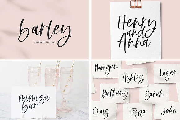 Handwritten Font BUNDLE in Display Fonts - product preview 4