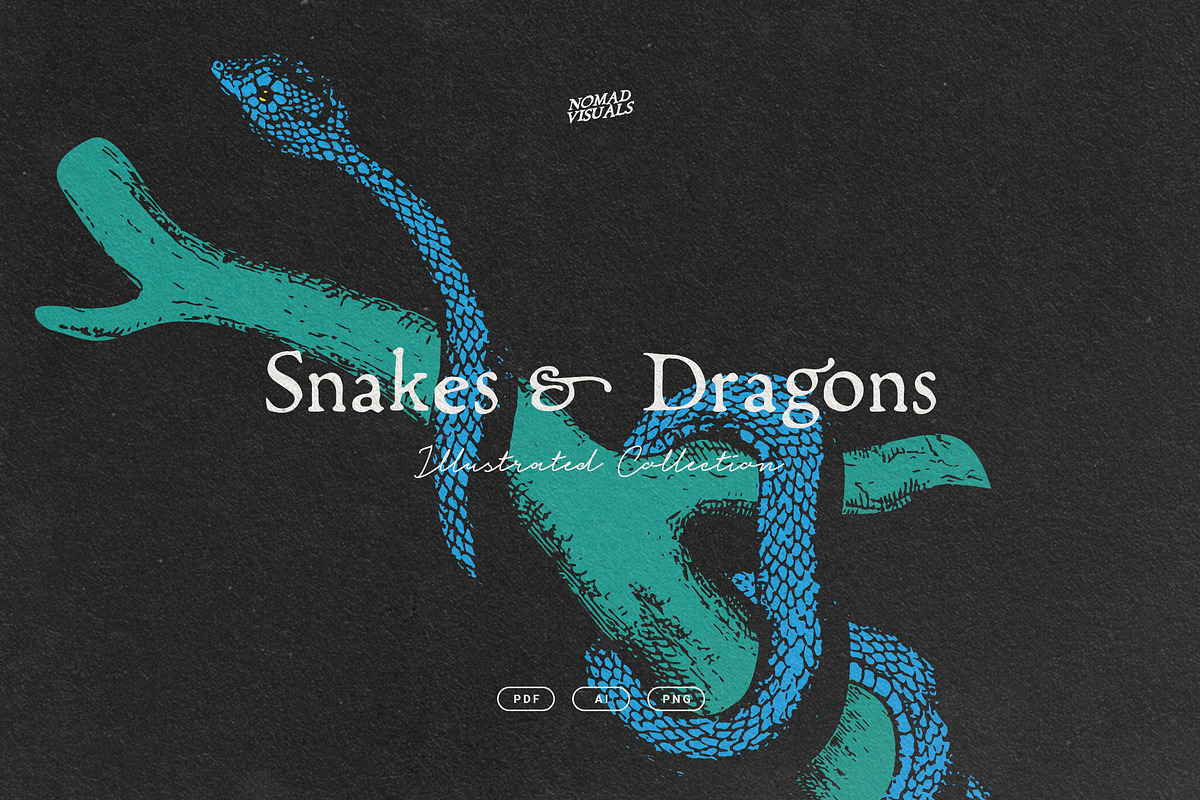 Snakes & Dragons in Illustrations - product preview 8
