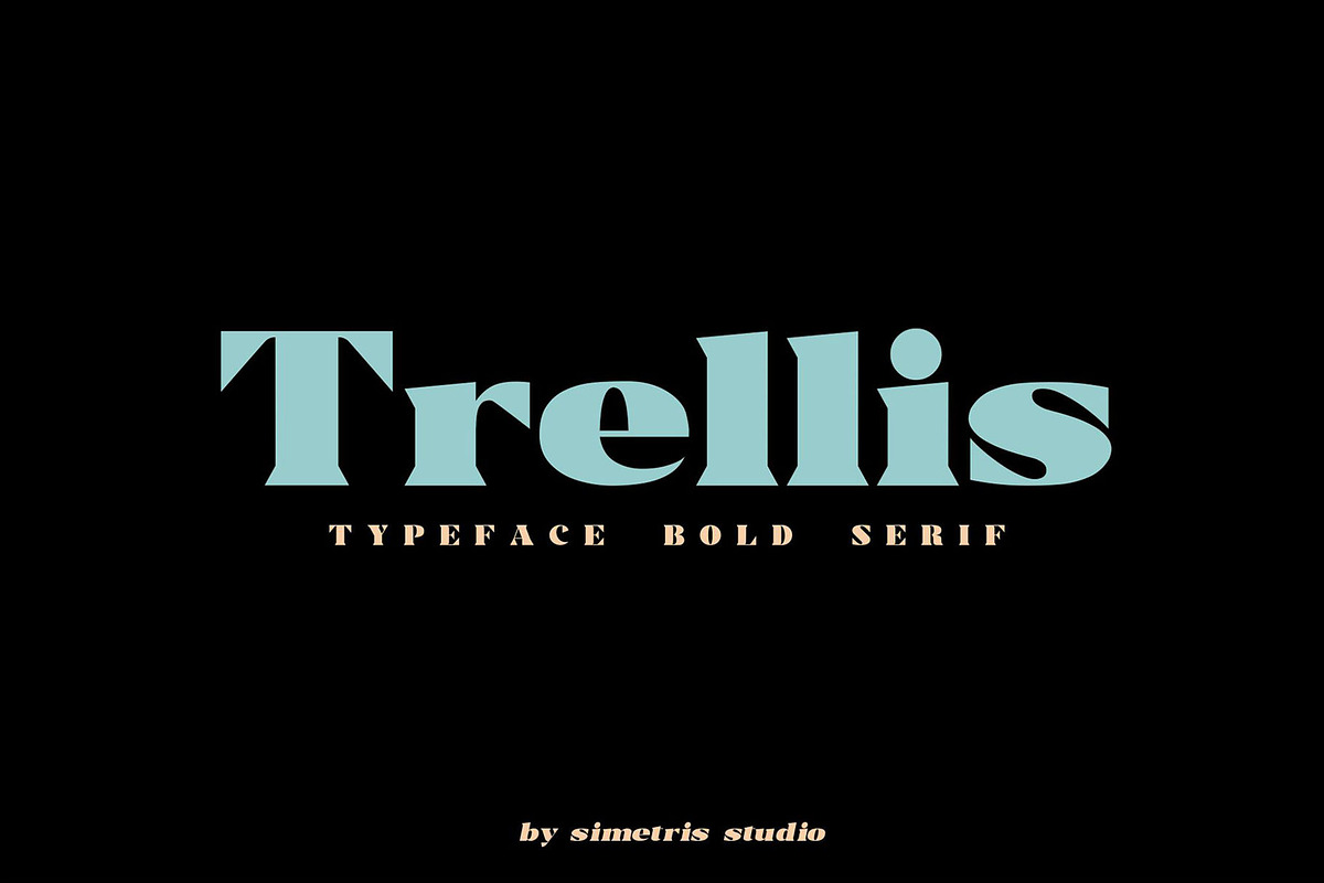 Trellis//Typeface Bold Serif in Serif Fonts - product preview 8