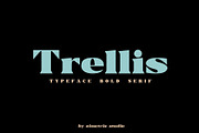Trellis//Typeface Bold Serif