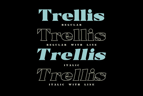 Trellis//Typeface Bold Serif in Serif Fonts - product preview 4