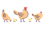 Chicken flat vector illustration