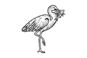 heron holds fish in its beak sketch