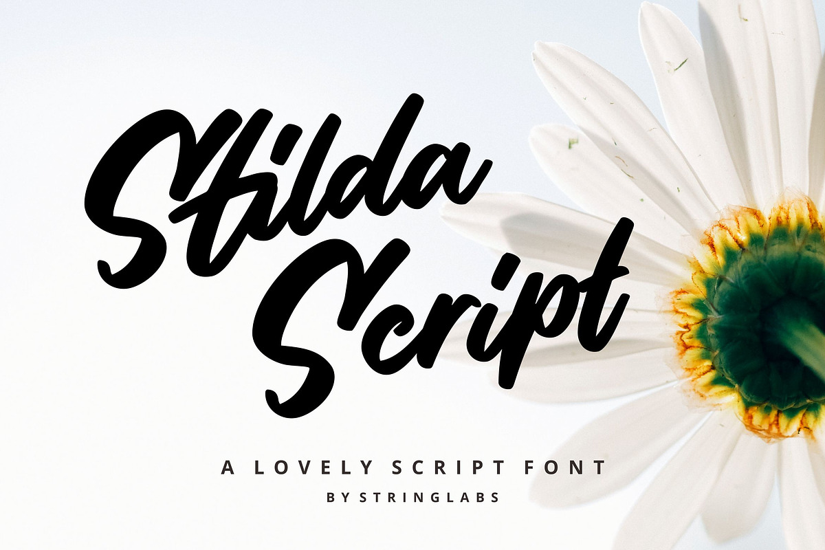 Stilda - Lovely Script Font in Script Fonts - product preview 8