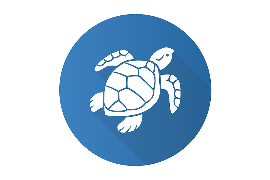 Turtle blue flat design glyph icon in Icons - product preview 8
