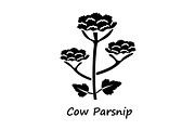 Cow parsnip glyph icon