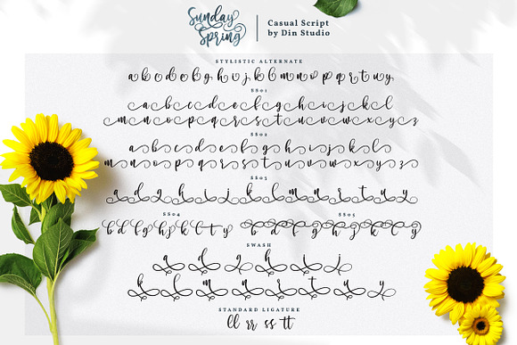 Sunday Spring - Chic Brush Font in Script Fonts - product preview 9