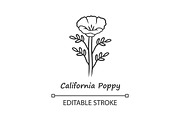 California poppy linear icon