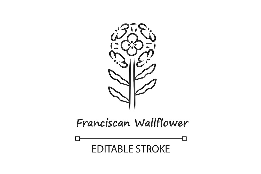 Franciscan wallflower linear icon