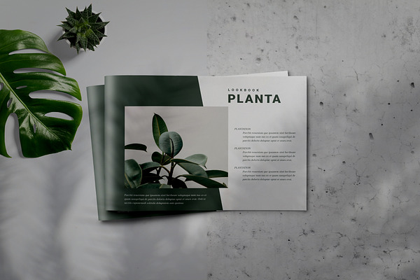 PLANTA - Indesign Brochure Template