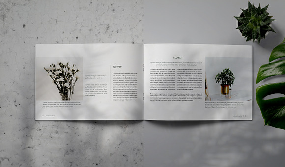 PLANTA - Indesign Brochure Template in Brochure Templates - product preview 2