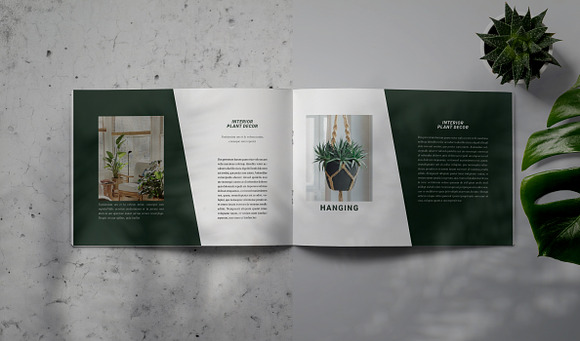 PLANTA - Indesign Brochure Template in Brochure Templates - product preview 5
