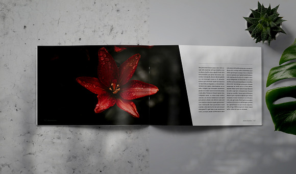 PLANTA - Indesign Brochure Template in Brochure Templates - product preview 6