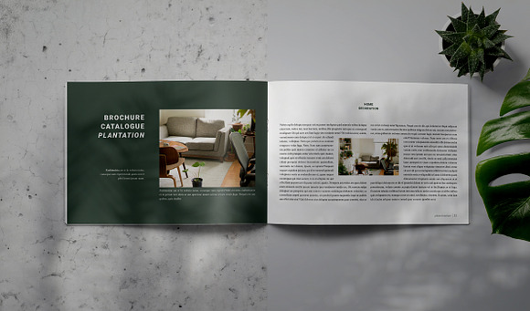 PLANTA - Indesign Brochure Template in Brochure Templates - product preview 7