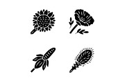 Wild flowers glyph icons set
