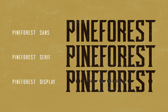 Pineforest - Classic Condensed Font in Display Fonts - product preview 8