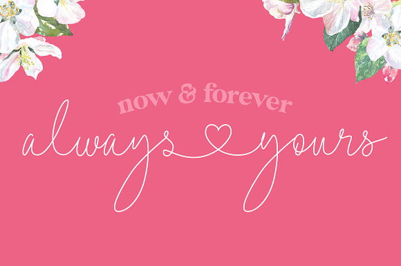 Lovers Script Font Family in Script Fonts - product preview 11