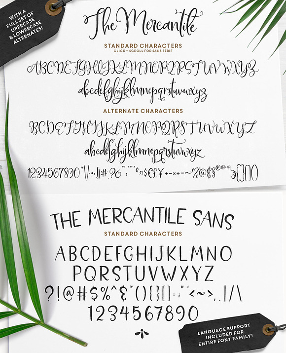 The Farmhouse Collection | Bundle in Script Fonts - product preview 25