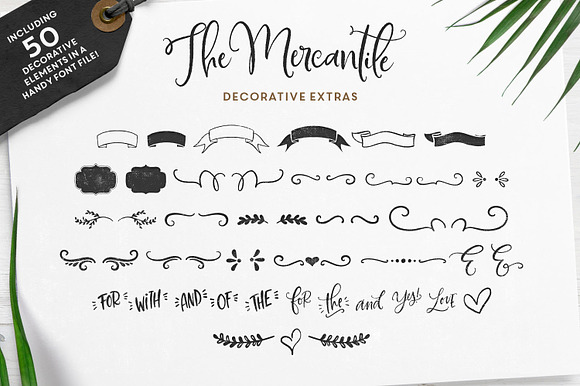 The Farmhouse Collection | Bundle in Script Fonts - product preview 27