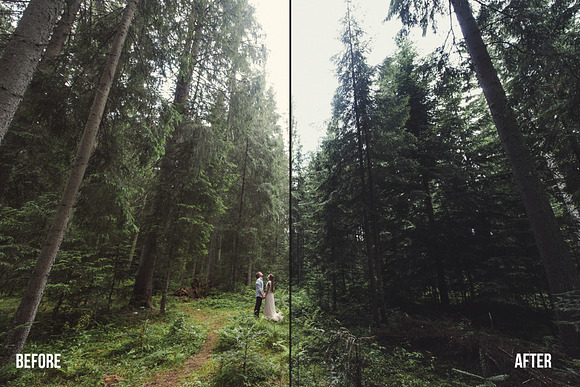 FOREST PRESET PACK in Add-Ons - product preview 5