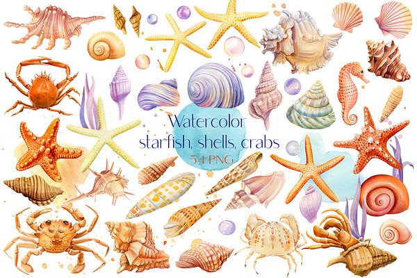 Watercolor starfish, shells, crabs