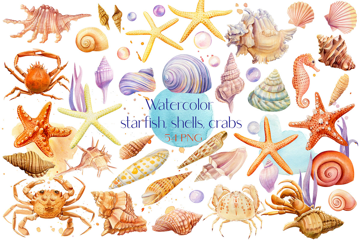 Watercolor starfish, shells, crabs in Illustrations - product preview 8