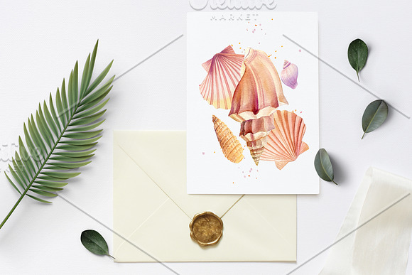 Watercolor starfish, shells, crabs in Illustrations - product preview 4