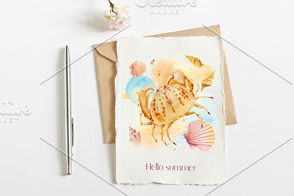 Watercolor starfish, shells, crabs in Illustrations - product preview 5
