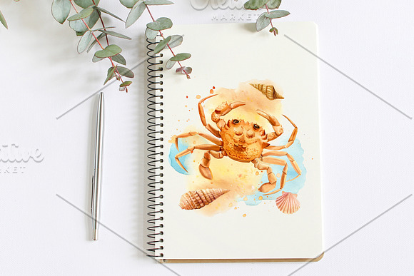 Watercolor starfish, shells, crabs in Illustrations - product preview 6