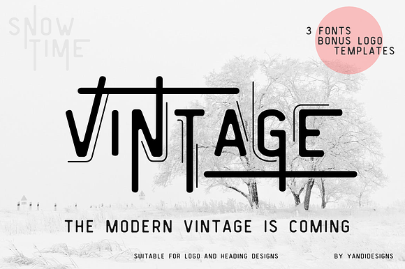 Vintage Modern Typeface in Vintage Fonts - product preview 6