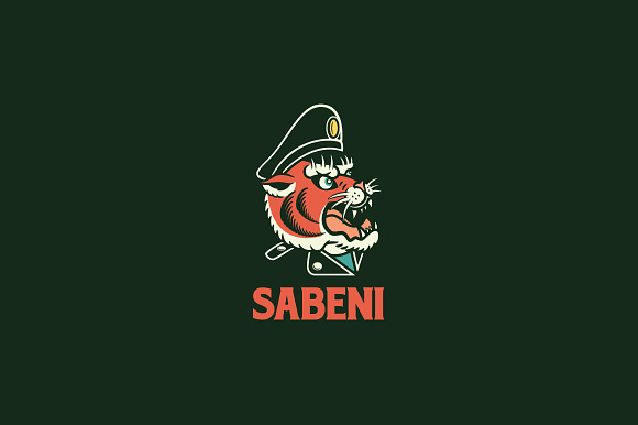 Sabeni Logo Template in Logo Templates - product preview 1