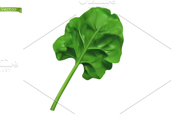 Fresh herbs. Greens and spices in Icons - product preview 3