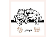 Peeking Frogs - Funny Frogs peeking