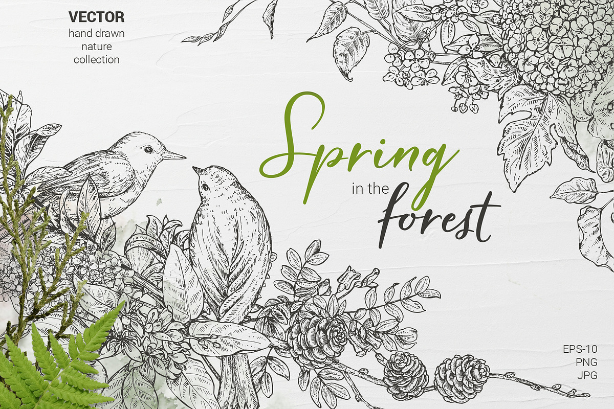 Spring in the forest vector set in Illustrations - product preview 8