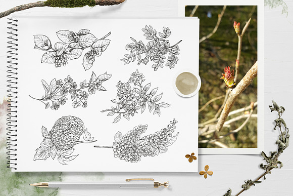 Spring in the forest vector set in Illustrations - product preview 2
