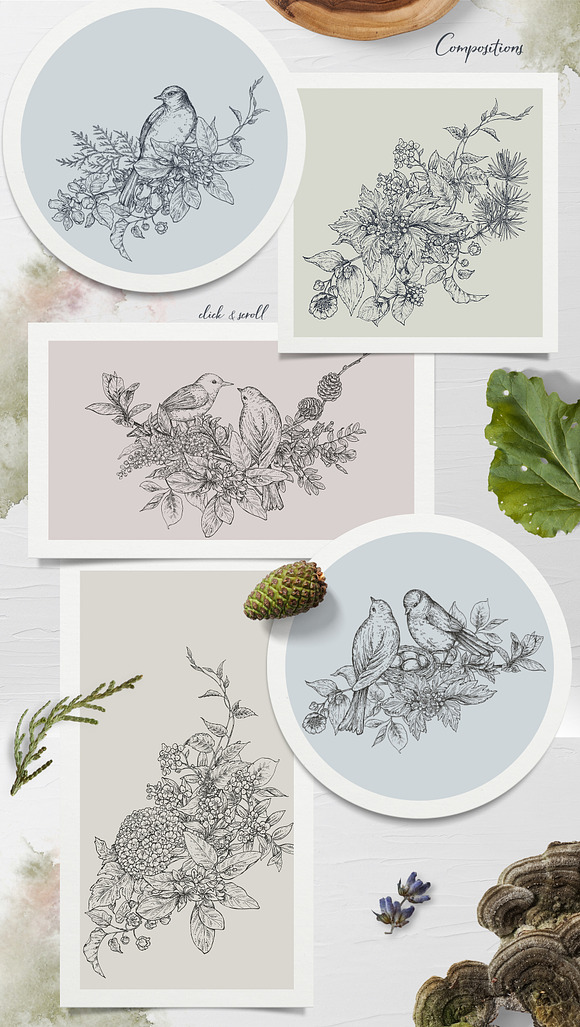 Spring in the forest vector set in Illustrations - product preview 7