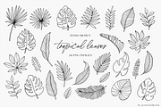 Hand drawn Tropical & Exotic Leaves