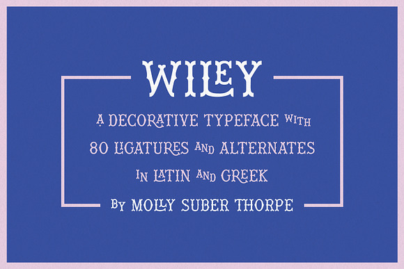 Wiley Decorative Latin & Greek Font in Display Fonts - product preview 12