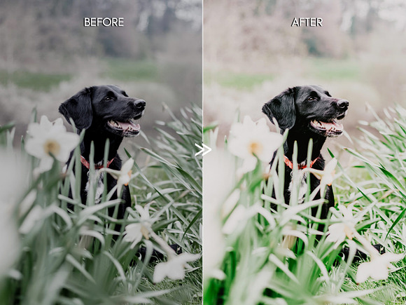 Vibrant SPRING Lightroom Presets in Add-Ons - product preview 1