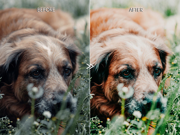 Vibrant SPRING Lightroom Presets in Add-Ons - product preview 2