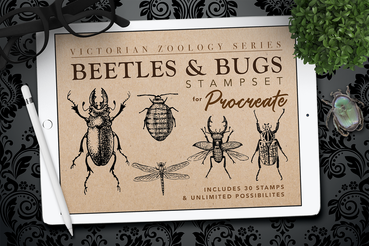 Procreate Beetles & Bugs Stampset in Add-Ons - product preview 8