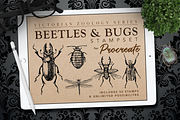 Procreate Beetles & Bugs Stampset