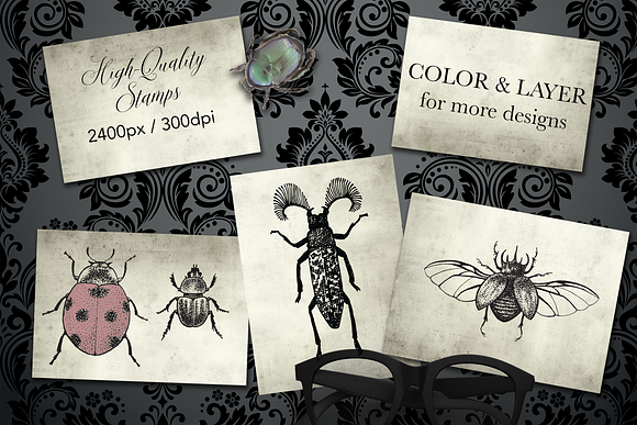 Procreate Beetles & Bugs Stampset in Add-Ons - product preview 1