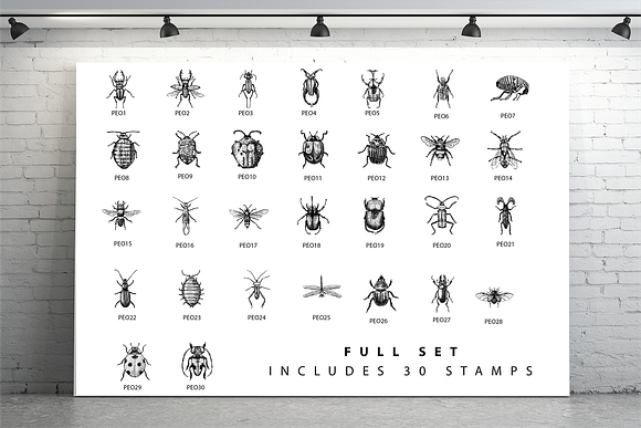 Procreate Beetles & Bugs Stampset in Add-Ons - product preview 2