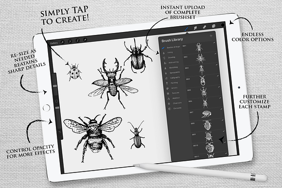 Procreate Beetles & Bugs Stampset in Add-Ons - product preview 3