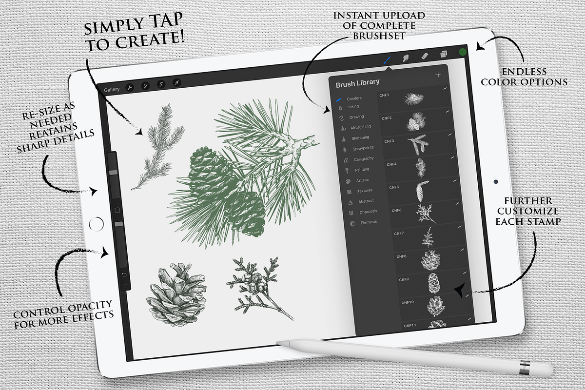 Procreate Conifer Stampset in Add-Ons - product preview 8