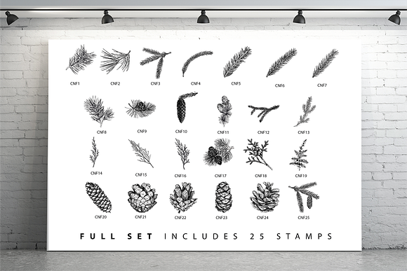 Procreate Conifer Stampset in Add-Ons - product preview 1